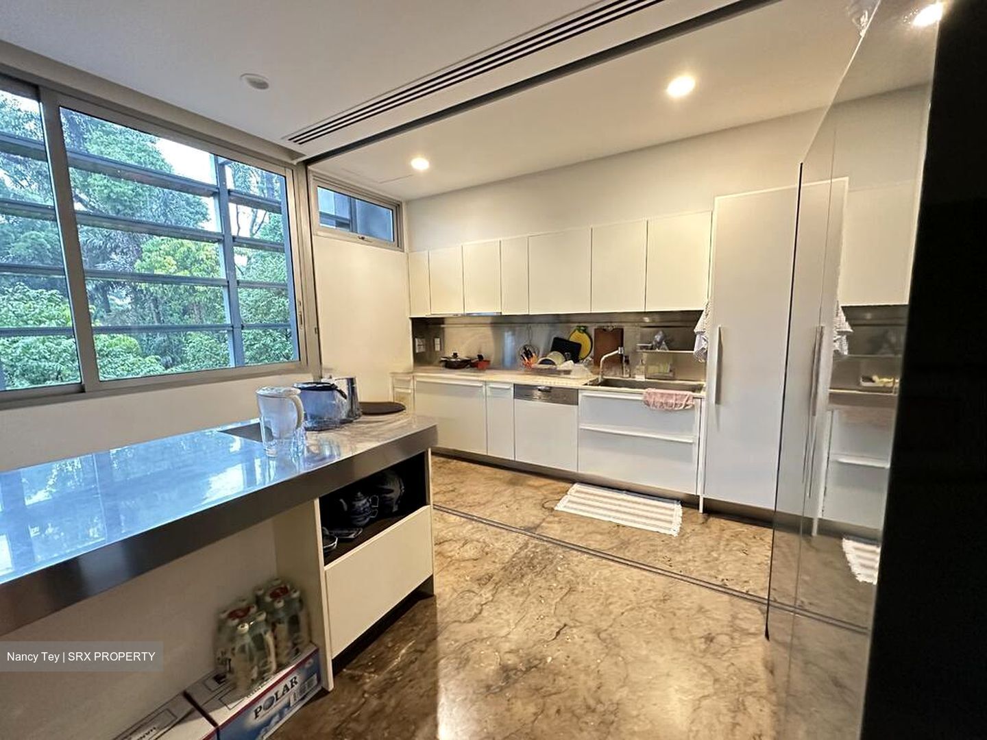 Nassim Park Residences (D10), Condominium #483368611